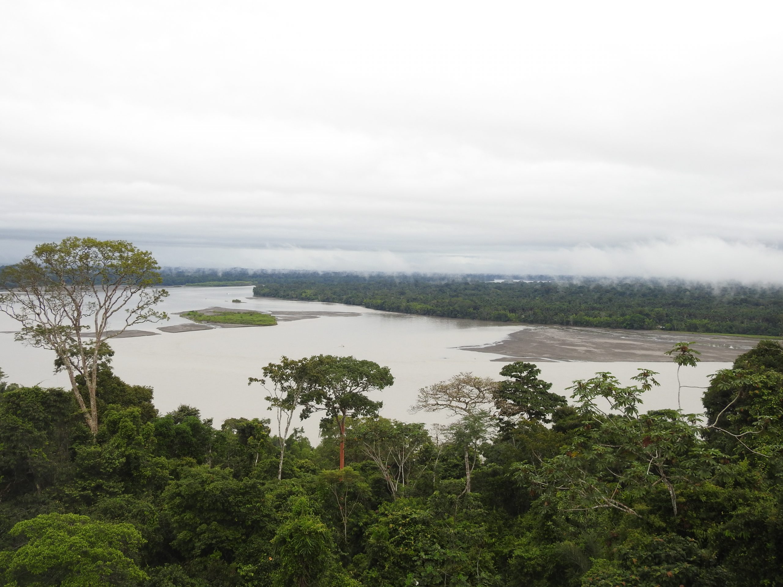 Experiencia amazónica Woaorani